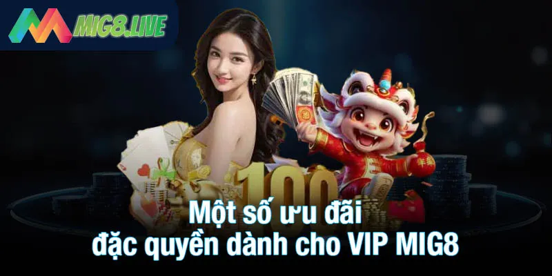 Một số ưu đãi đặc quyền dành cho VIP MIG8